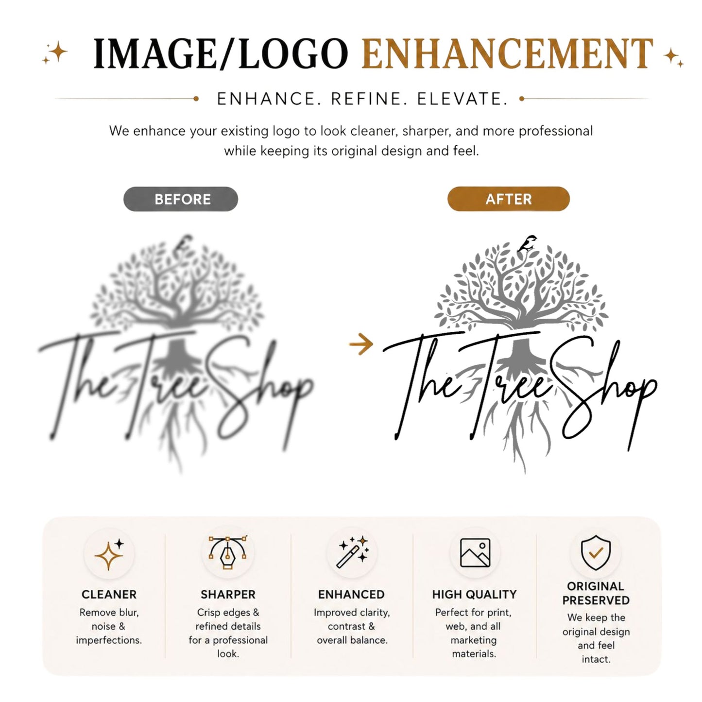 Image Enhancement & Vector Conversion Service