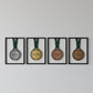 A horizontal row display of four custom double-sided honor medals hanging by green neck ribbons inside a clean wall mount showcase layout against a white backdrop.